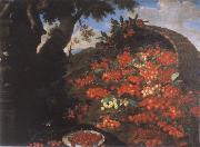 Bartolomeo Bimbi Cherries France oil painting reproduction